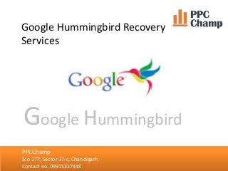 Google Hummingbird Recovery
Services
NCA Academy
Sco 86, Sector 35-c, Chandigarh
Contact no. 09501070051, 09814161322
PPCC...