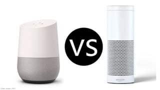 Carter Jensen / 2017
 