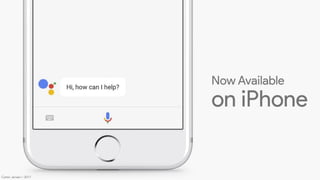 Carter Jensen / 2017
 