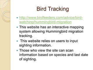 Bird Tracking
 http://www.birdfeeders.com/advice/bird-
  watching/hummingbird-migration
 This website has an interactive mapping
  system allowing Hummingbird migration
  tracking.
 This website relies on users to input
  sighting information.
 Those who view the site can scan
  information based on species and last date
  of sighting.
 