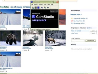 Google maps y panoramio