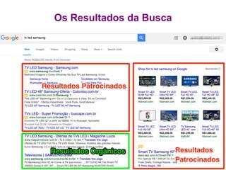 Os Resultados da Busca
 