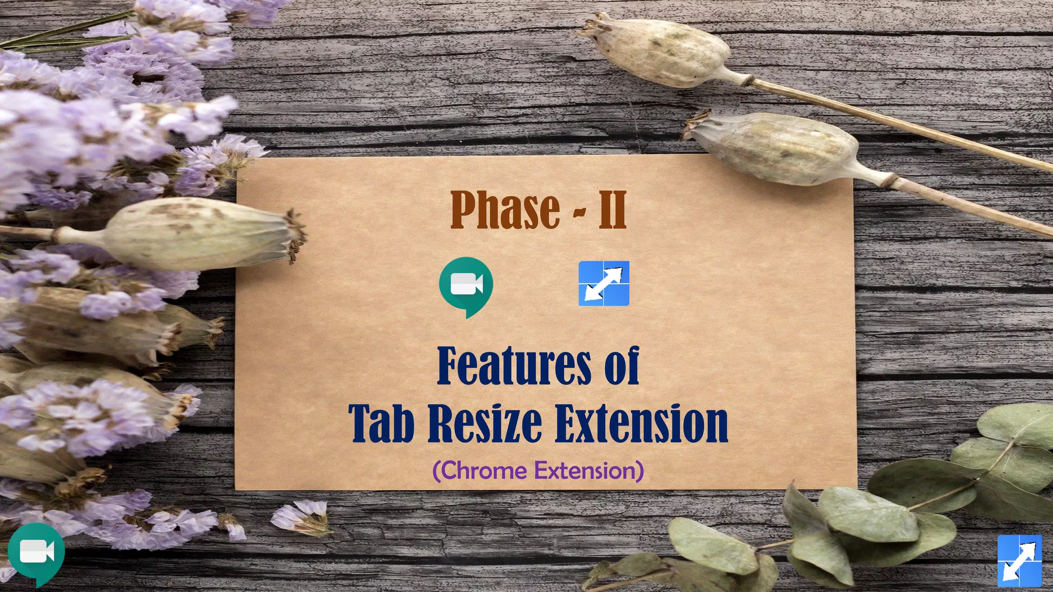 Features of
Tab Resize Extension
(Chrome Extension)
Phase - II
 