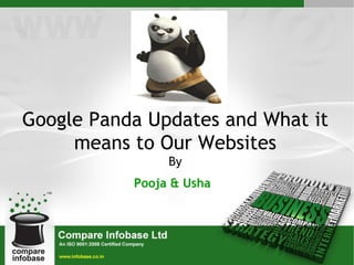 Google Panda Updates and What it means to Our Websites By Pooja & Usha   