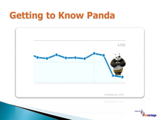 Google panda update   internet advantage