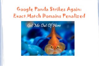Google Panda Strikes Again:
Exact Match Domains Penalized
 