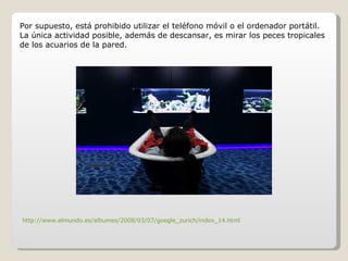 Por supuesto, está prohibido utilizar el teléfono móvil o el ordenador portátil. La única actividad posible, además de descansar, es mirar los peces tropicales de los acuarios de la pared. http://www.elmundo.es/albumes/2008/03/07/google_zurich/index_14.html 