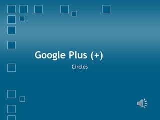 Google Plus (+)
Circles

 