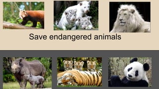 Save endangered animals
 