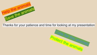 Thanks for your patience and time for looking at my presentation
Protect the animals
Save the animals
Help the animals
Care for the animals
 