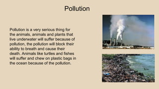 Pollution
Pollution is a very serious thing for
the animals, animals and plants that
live underwater will suffer because of
pollution, the pollution will block their
ability to breath and cause their
death. Animals like turtles and fishes
will suffer and chew on plastic bags in
the ocean because of the pollution.
 