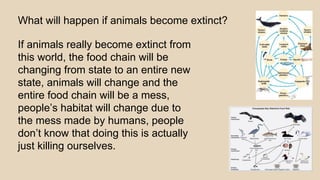 What will happen if animals become extinct?
If animals really become extinct from
this world, the food chain will be
changing from state to an entire new
state, animals will change and the
entire food chain will be a mess,
people’s habitat will change due to
the mess made by humans, people
don’t know that doing this is actually
just killing ourselves.
 