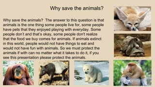 Why save the animals?
Why save the animals? The answer to this question is that
animals is the one thing some people live for, some people
have pets that they enjoyed playing with everyday. Some
people don’t and that’s okay, some people don't realize
that the food we buy comes for animals. If animals extinct
in this world, people would not have things to eat and
would not have fun with animals. So we must protect the
animals if with can no matter what it takes to do it, if you
see this presentation please protect the animals.
 