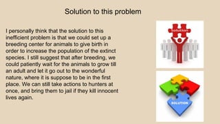 Solution to this problem
I personally think that the solution to this
inefficient problem is that we could set up a
breeding center for animals to give birth in
order to increase the population of the extinct
species. I still suggest that after breeding, we
could patiently wait for the animals to grow till
an adult and let it go out to the wonderful
nature, where it is suppose to be in the first
place. We can still take actions to hunters at
once, and bring them to jail if they kill innocent
lives again.
 