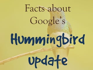 Facts about
Google’s

 