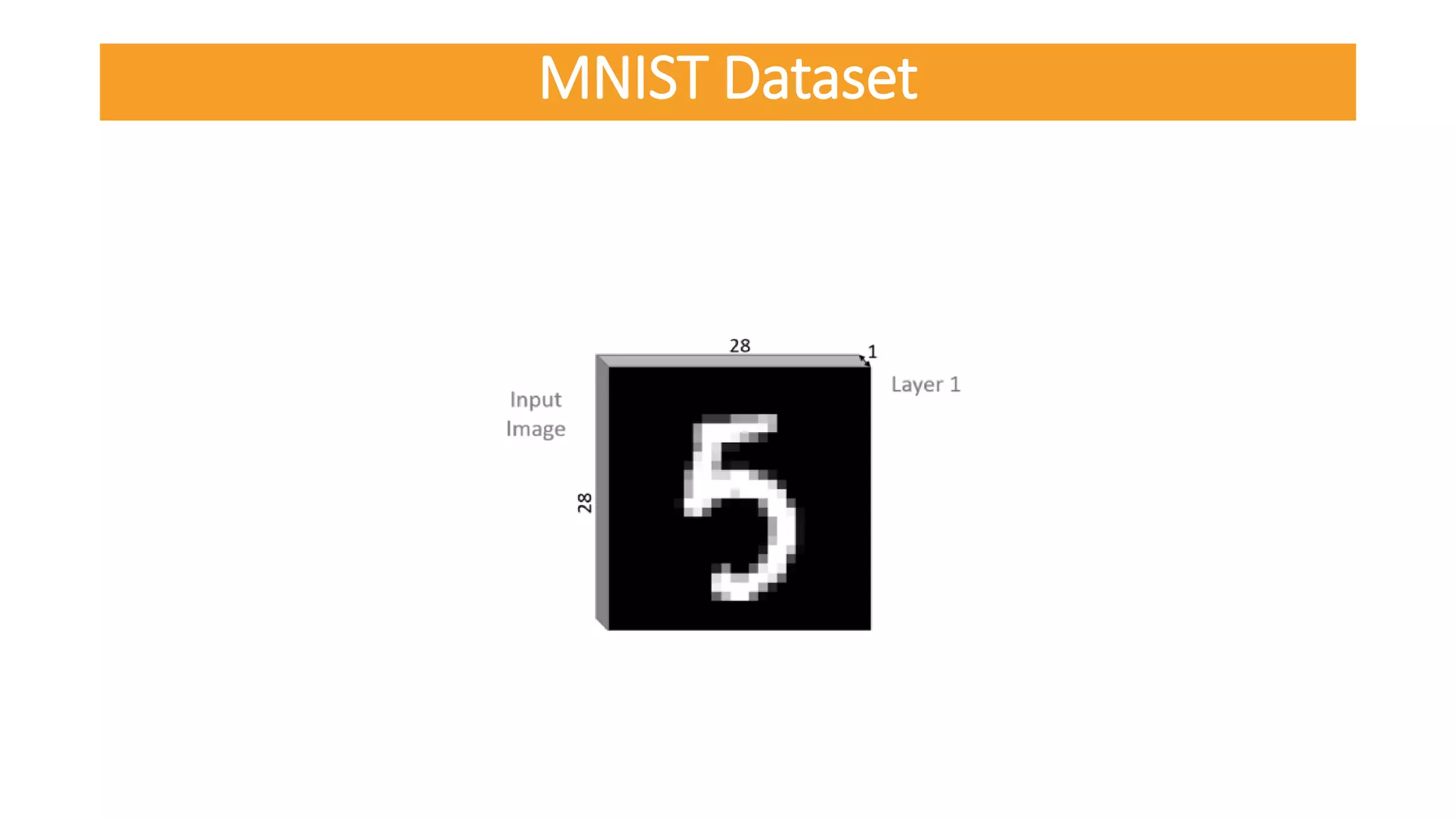 MNIST Dataset
 