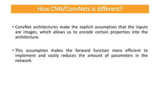 • ConvNet architectures make the explicit assumption that the inputs
are images, which allows us to encode certain properties into the
architecture.
• This assumption makes the forward function more efficient to
implement and vastly reduces the amount of parameters in the
network.
How CNN/ConvNets is different?
 
