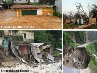 Cyclone phailin, Odisha
Uttarakhand Floods
 