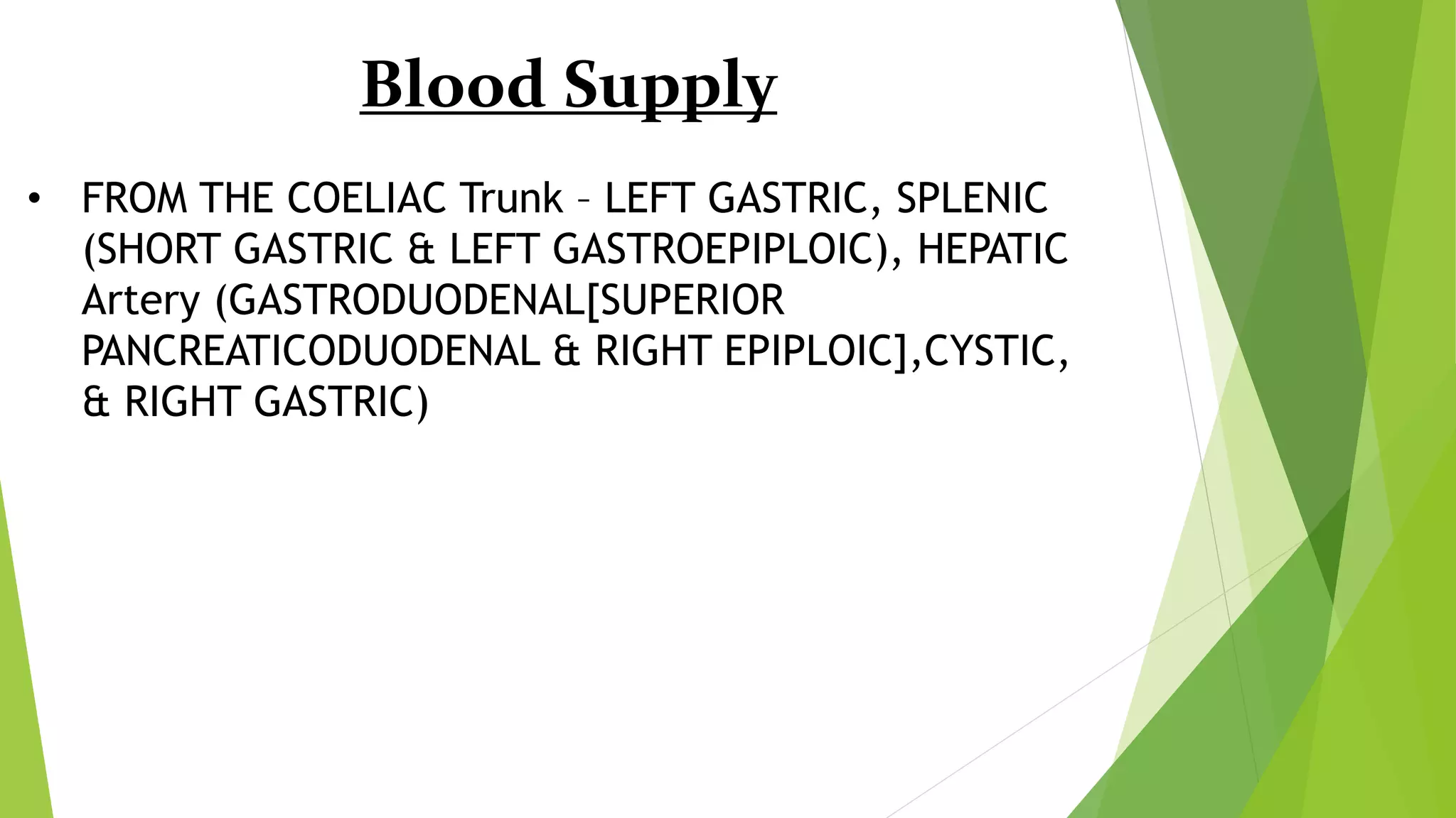 Blood Supply
• FROM THE COELIAC Trunk – LEFT GASTRIC, SPLENIC
(SHORT GASTRIC & LEFT GASTROEPIPLOIC), HEPATIC
Artery (GASTRODUODENAL[SUPERIOR
PANCREATICODUODENAL & RIGHT EPIPLOIC],CYSTIC,
& RIGHT GASTRIC)
 