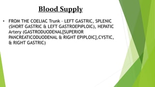 Blood Supply
• FROM THE COELIAC Trunk – LEFT GASTRIC, SPLENIC
(SHORT GASTRIC & LEFT GASTROEPIPLOIC), HEPATIC
Artery (GASTRODUODENAL[SUPERIOR
PANCREATICODUODENAL & RIGHT EPIPLOIC],CYSTIC,
& RIGHT GASTRIC)
 