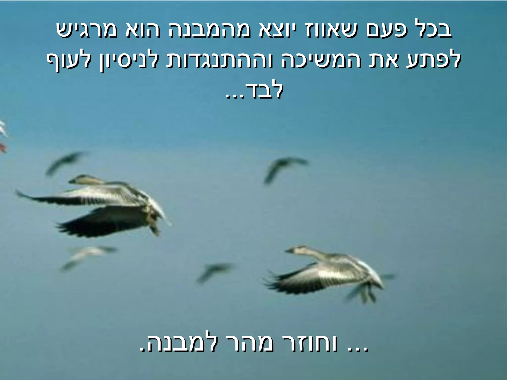 ‫בכל פעם שאווז יוצא מהמבנה הוא מרגיש‬
‫לפתע את המשיכה וההתנגדות לניסיון לעוף‬
                  ‫לבד...‬




        ‫... וחוזר מהר למבנה.‬
 