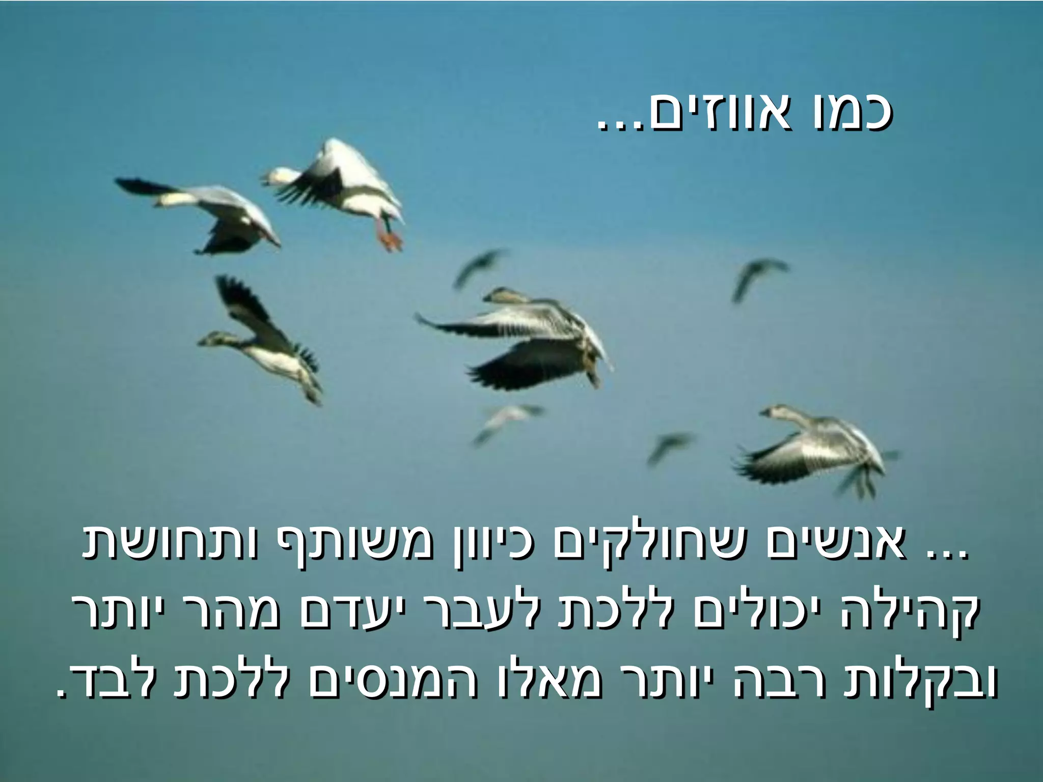 ‫כמו אווזים...‬




 ‫... אנשים שחולקים כיוון משותף ותחושת‬
 ‫קהילה יכולים ללכת לעבר יעדם מהר יותר‬
‫ובקלות רבה יותר מאלו המנסים ללכת לבד.‬
 