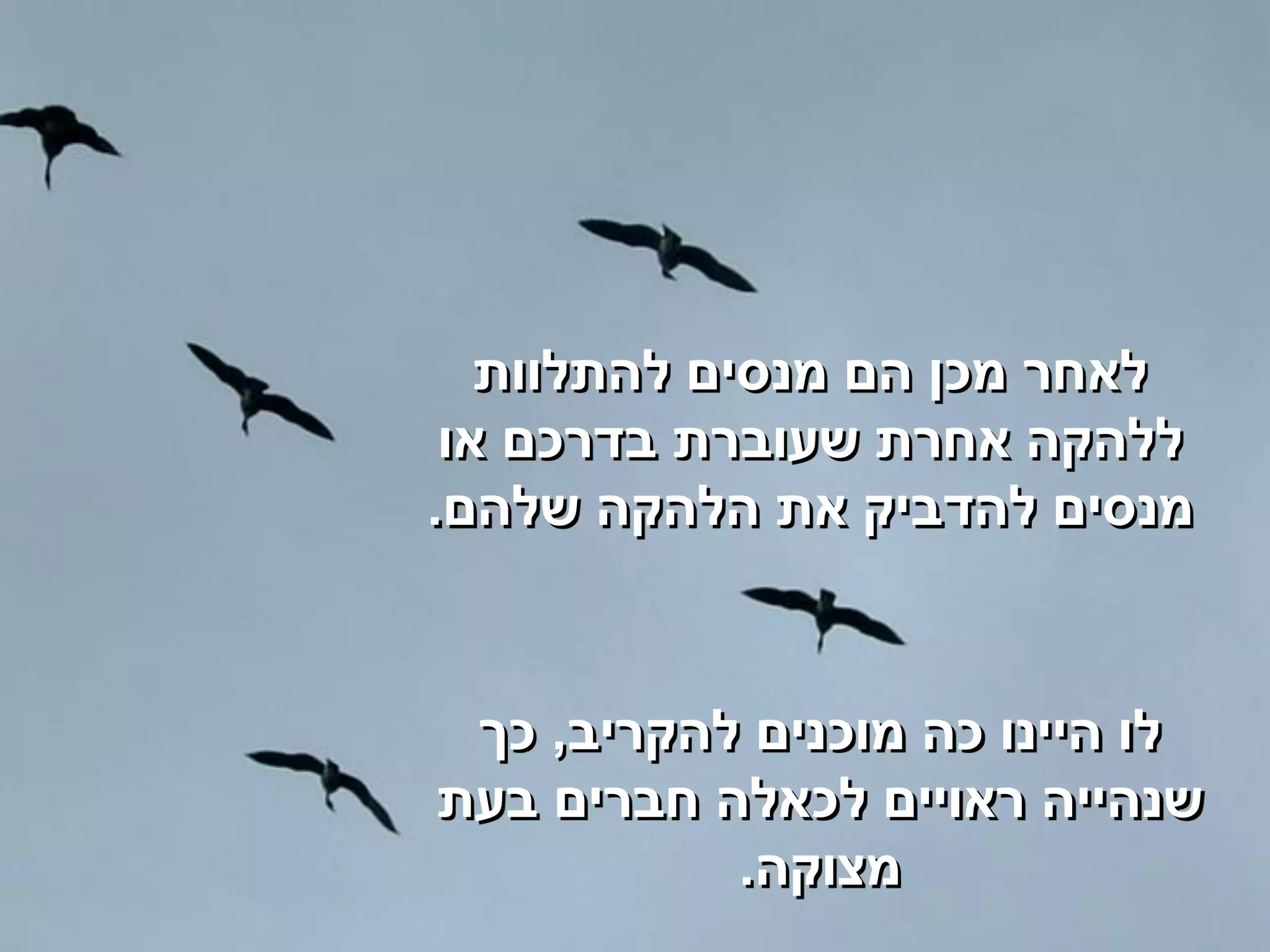 ‫לאחר מכן הם מנסים להתלוות‬
 ‫ללהקה אחרת שעוברת בדרכם או‬
‫מנסים להדביק את הלהקה שלהם.‬


 ‫לו היינו כה מוכנים להקריב, כך‬
‫שנהייה ראויים לכאלה חברים בעת‬
           ‫מצוקה.‬
 