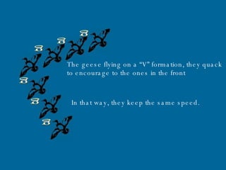 g g g g g g The geese flying on a “V” formation, they quack to encourage to the ones in the front . In that way, they keep the same speed. 