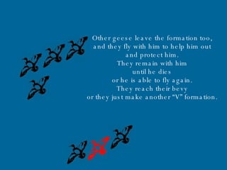 Other   geese leave the formation too, and they fly with him to help him out and protect him. They remain with him until he dies or he is able to fly again. They reach their  bevy or they just make another “V” formation. 