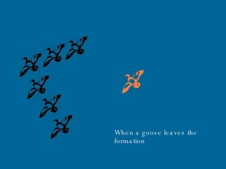 When a goose leaves the  formation .. 
