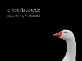 GooseBumpz
Multiroom & Multimedia
 