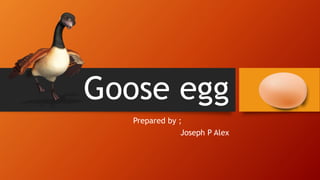 Goose egg
Prepared by ;
Joseph P Alex
 