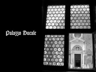 Palazzo Ducale
 