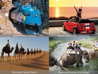 Scenic Historic Railroad Seaside Mini Cooper Adventure
Marrakesh Sahara Desert Pinnawala Elephant Orphanage
 