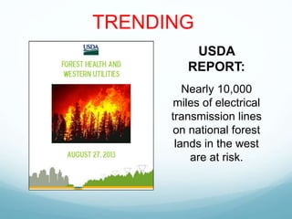 USDA
REPORT:
Nearly 10,000
miles of electrical
transmission lines
on national forest
lands in the west
are at risk.
TRENDING
 