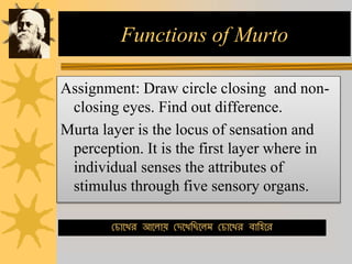 Functions of Murto
Assignment: Draw circle closing and non-
closing eyes. Find out difference.
Murta layer is the locus of sensation and
perception. It is the first layer where in
individual senses the attributes of
stimulus through five sensory organs.
হচোরের আরলোয় হদ্রেবছরলম হচোরের িোবেরর
 