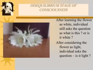 DISEQUILIBRIUM STAGE OF
CONSCIOUSNESS
After learning the flower
as white, individual
still asks the question
as what is this ? or is
it white ?
After considering the
flower as light,
individual asks the
question – is it light ?
 