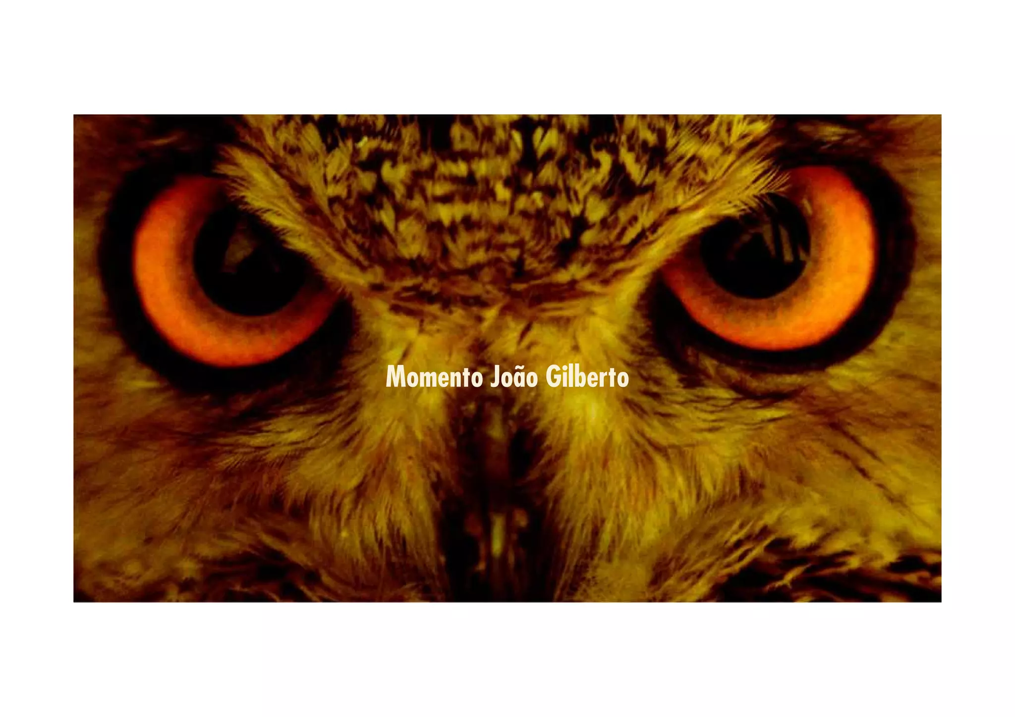 Momento João Gilberto 
 