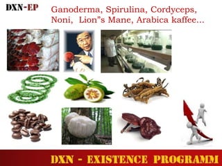 Ganoderma, Spirulina, Cordyceps,
Noni, Lion”s Mane, Arabica kaffee...
 