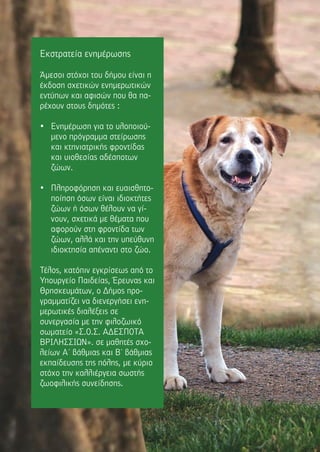 Εκστρατεία ενηµέρωσης
Άµεσοι στόχοι του δήµου είναι η
έκδοση σχετικών ενηµερωτικών
εντύπων και αφισών που θα πα-
ρέχουν στους δηµότες :
• Ενηµέρωση για το υλοποιού-
µενο πρόγραµµα στείρωσης
και κτηνιατρικής φροντίδας
και υιοθεσίας αδέσποτων
ζώων.
• Πληροφόρηση και ευαισθητο-
ποίηση όσων είναι ιδιοκτήτες
ζώων ή όσων θέλουν να γί-
νουν, σχετικά µε θέµατα που
αφορούν στη φροντίδα των
ζώων, αλλά και την υπεύθυνη
ιδιοκτησία απέναντι στο ζώο.
Τέλος, κατόπιν εγκρίσεως από το
Υπουργείο Παιδείας, Έρευνας και
Θρησκευµάτων, ο ∆ήµος προ-
γραµµατίζει να διενεργήσει ενη-
µερωτικές διαλέξεις σε
συνεργασία µε την φιλοζωικό
σωµατείο «Σ.Ο.Σ. Α∆ΕΣΠΟΤΑ
ΒΡΙΛΗΣΣΙΩΝ». σε µαθητές σχο-
λείων Α΄ βάθµιας και Β΄ βάθµιας
εκπαίδευσης της πόλης, µε κύριο
στόχο την καλλιέργεια σωστής
ζωοφιλικής συνείδησης.
 