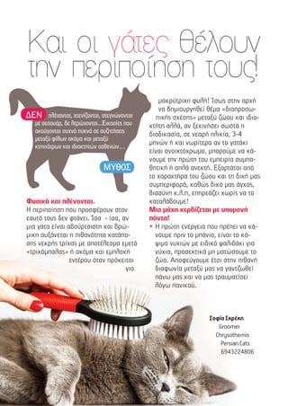 Φυσικά και πλένονται.
Η περιποίηση που προσφέρουν στον
εαυτό τους δεν φτάνει. Ίσα - ίσα, αν
µια γάτα είναι αβούρτσιστη και βρώ-
µικη αυξάνεται η πιθανότητα κατάπο-
σης νεκρής τρίχας µε αποτέλεσµα εµετό
«τριχόµπαλας» ή ακόµα και εµπλοκή
εντέρου όταν πρόκειται
για
µακρύτριχη φυλή! Ίσως στην αρχή
να δηµιουργηθεί θέµα «διαπροσω-
πικής σχέσης» µεταξύ ζώου και ιδιο-
κτήτη αλλά, αν ξεκινήσει σωστά η
διαδικασία, σε νεαρή ηλικία, 3-4
µηνών ή και νωρίτερα αν το γατάκι
είναι ανοιχτόχρωµο, µπορούµε να κά-
νουµε την πρώτη του εµπειρία συµπα-
θητική ή απλά ανεκτή. Εξαρτάται από
το χαρακτήρα του ζώου και τη δική µας
συµπεριφορά, καθώς δικό µας άγχος,
βιασύνη κ.λ.π, επηρεάζει χωρίς να το
καταλάβουµε!
Μια µάχη κερδίζεται µε υποµονή
πάντα!
• Η πρώτη ενέργεια που πρέπει να κά-
νουµε πριν το µπάνιο, είναι το κό-
ψιµο νυχιών µε ειδικό ψαλιδάκι για
νύχια, προσεκτικά µη µατώσουµε το
ζώο. Αποφεύγουµε έτσι στην πιθανή
διαφωνία µεταξύ µας να γαντζωθεί
πάνω µας και να µας τραυµατίσει
λόγω πανικού.
Σοφία Σκρέκη
Groomer
Chrysothemis
Persian Cats
6943224806
πλένονται, χτενίζονται, στεγνώνονται
µε σεσουάρ, δε λερώνονται...Εικασίες που
ακούγονται συχνά πυκνά σε συζητήσεις
µεταξύ φίλων ακόµα και µεταξύ
κτηνιάτρων και ιδιοκτητών ασθενών…
ΔΕΝ
ΜΥΘΟΣ
Και οι γάτες θέλουν
την περιποίηση τους!
 