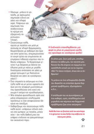 21
• Κάνουµε µπάνιο τη γα-
τούλα, µε αραιωµένο
σαµπουάν ειδικό για
γάτες και χλιαρό
νερό. Υπάρχουν και
σαµπουάν που
αναδεικνύουν
το χρώµα για
εξαιρετικές πε-
ριπτώσεις
(show).
• Στεγνώνουµε καλά,
πρώτα µε πετσέτες και µετά µε
σεσουάρ σε χλιαρή θερµοκρασία,
βουρτσίζοντας µε σεβασµό στο ζώο
και στην τρίχα του, αποµακρύνοντας
τη νεκρή τρίχα και επιµένοντας σε
επιµέρους πιθανούς κόµπους που πι-
θανόν υπάρχουν. Το βούρτσισµα γί-
νεται ή µε βούρτσα µε δόντια και
έλεγχος µετά µε χτένα µε µεγάλα
διαστήµατα απόστασης σε γάτες µε
µακρύ τρίχωµα ή µε λαστιχένια
βούρτσα και γάντι σε κοντότριχες
γάτες!!
• Έχει σηµασία το στέγνωµα να είναι
πολύ καλό να µη µείνει υγρασία στο
ζώο για την αποφυγή µυκητιάσεων
που προκαλούνται από κακό στέ-
γνωµα ή ακόµα και κρυολογήµατος.
• Μια σταγόνα φυσιολογικός ορός στα
µάτια αποµακρύνει υπολείµµατα
προϊόντων κι έτσι αποφεύγονται δά-
κρυα και τσούξιµο.
• Καθαρίζουµε και στεγνώνουµε πολύ
καλά αυτιά –υπάρχουν ειδικές σκό-
νες στο εµπόριο- µε πετσέτα, µπατο
νέτα – όχι πολύ βαθειά µιας και
υπάρχει κίνδυνος να τραυµατίσουµε
τον ακουστικό πόρο.
ΗΗ δδιιααδδιικκαασσίίαα εεππααννααλλααµµββάάννεεττααιι µµιιαα
φφοορράά ττοο µµήήνναα σσεε µµαακκρρύύττρριιχχεεςς φφυυλλέέςς
κκααιι ααρρααιιόόττεερραα σσεε κκοοννττόόττρριιχχεεςς φφυυλλέέςς!!
Οι γάτες µας, ζουν µαζί µας, απολαµ-
βάνουν τα χάδια µας, τον καναπέ µας.
Κανείς δεν θα έπρεπε να περιµένει την
κατάλληλη εποχή για να τις περιποι-
ηθεί! Το έχουν ανάγκη, όπως και οι άν-
θρωποι!
Το µπάνιο σε ένα αιλουροειδές βοηθά
τον ιδιοκτήτη να εντοπίσει άµεσα δερ-
µατικά προβλήµατα, εξωπαράσιτα
κ.λ.π…
Η απόλαυση του να συνυπάρχεις µε
ένα καθαρό, υγιές, απαλλαγµένο από
µυρωδιές και κόµπους και δερµατικά
προβλήµατα ζώο είναι ασύγκριτη!
Καλό θα ήταν να ζητείστε από τον κτηνίατρο
ή το groomer να σας δείξει που κόβονται τα
νύχια µιας γάτας.
 