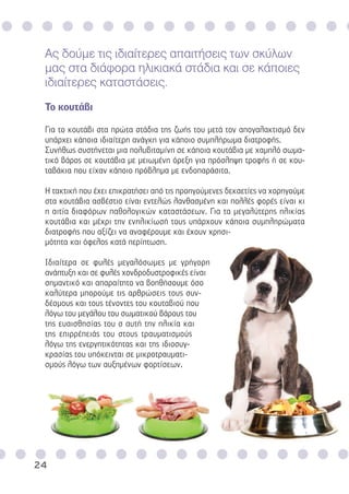 Ας δούµε τις ιδιαίτερες απαιτήσεις των σκύλων
µας στα διάφορα ηλικιακά στάδια και σε κάποιες
ιδιαίτερες καταστάσεις.
Το κουτάβι
Για το κουτάβι στα πρώτα στάδια της ζωής του µετά τον απογαλακτισµό δεν
υπάρχει κάποια ιδιαίτερη ανάγκη για κάποιο συµπλήρωµα διατροφής.
Συνήθως συστήνεται µια πολυβιταµίνη σε κάποια κουτάβια µε χαµηλό σωµα-
τικό βάρος σε κουτάβια µε µειωµένη όρεξη για πρόσληψη τροφής ή σε κου-
ταβάκια που είχαν κάποιο πρόβληµα µε ενδοπαράσιτα.
Η τακτική που έχει επικρατήσει από τις προηγούµενες δεκαετίες να χορηγούµε
στα κουτάβια ασβέστιο είναι εντελώς λανθασµένη και πολλές φορές είναι κι
η αιτία διαφόρων παθολογικών καταστάσεων. Για τα µεγαλύτερης ηλικίας
κουτάβια και µέχρι την ενηλικίωσή τους υπάρχουν κάποια συµπληρώµατα
διατροφής που αξίζει να αναφέρουµε και έχουν χρησι-
µότητα και όφελος κατά περίπτωση.
Ιδιαίτερα σε φυλές µεγαλόσωµες µε γρήγορη
ανάπτυξη και σε φυλές χονδροδυστροφικές είναι
σηµαντικό και απαραίτητο να βοηθήσουµε όσο
καλύτερα µπορούµε τις αρθρώσεις τους συν-
δέσµους και τους τένοντες του κουταβιού που
λόγω του µεγάλου του σωµατικού βάρους του
της ευαισθησίας του σ αυτή την ηλικία και
της επιρρέπειάς του στους τραυµατισµούς
λόγω της ενεργητικότητας και της ιδιοσυγ-
κρασίας του υπόκεινται σε µικροτραυµατι-
σµούς λόγω των αυξηµένων φορτίσεων.
24
 