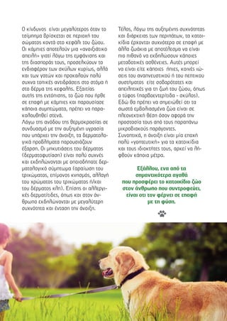 Ο κίνδυνος είναι µεγαλύτερος όταν το
τσίµπηµα βρίσκεται σε περιοχή του
σώµατος κοντά στο κεφάλι του ζώου.
Οι κάµπιες αποτελούν µια «ανοιξιάτικο
απειλή» γιατί λόγω της εµφάνισης και
της διασποράς τους, προσελκύουν το
ενδιαφέρον των σκύλων κυρίως, αλλά
και των γατών και προκαλούν πολύ
συχνα τοπικές αντιδράσεις στο στόµα ή
στο δέρµα της κεφαλής. Εξαιτίας
αυτής της εντόπισης, το ζώο που ήρθε
σε επαφή µε κάµπιες και παρουσίασε
κάποια συµπτώµατα, πρέπει να παρα-
κολουθηθεί στενά.
Λόγω της ανόδου της θερµοκρασίας σε
συνδυασµό µε την αυξηµένη υγρασία
που υπάρχει την άνοιξη, τα δερµατολο-
γικά προβλήµατα παρουσιάζουν
έξαρση. Οι µηκυτιάσεις του δέρµατος
(δερµατοφυτίαση) είναι πολύ συχνές
και εκδηλώνονται µε οποιοδήποτε δερ-
µατολογικό σύµπτωµα (αραίωση του
τριχώµατος, επίµονος κνησµός, αλλαγή
του χρώµατος του τριχώµατος ή/και
του δέρµατος κλπ). Επίσης οι αλλεργι-
κές δερµατίτιδες, όπως και στον άν-
θρωπο εκδηλώνονται µε µεγαλύτερη
συχνότητα και ένταση την άνοιξη.
Τέλος, λόγω της αυξηµένης συχνότητας
και διάρκειας των περιπάτων, τα κατοι-
κίδια έρχονται συχνότερα σε επαφή µε
άλλα ζωάκια µε αποτέλεσµα να είναι
πιο πιθανό να εκδηλώσουν κάποιες
µεταδοτικές ασθένειες. Αυτές µπορεί
να είναι είτε κάποιες ήπιες, κοινές ιώ-
σεις του αναπνευστικού ή του πεπτικου
συστήµατος είτε σοβαρότατες και
απειλητικές για τη ζωή του ζώου, όπως
ο τύφος (παρβοεντερίτιδα - σκύλος).
Εδώ θα πρέπει να σηµειώθεί οτι τα
σωστά εµβολιασµένα ζώα είναι σε
πλεονεκτική θέση όσον αφορά την
προστασία τους από τους παραπάνω
µικροβιακούς παράγοντες.
Συνοπτικά, η άνοιξη είναι µία εποχή
πολύ «γοητευτική» για τα κατοικίδια
και τους ιδιοκτήτες τους, αρκεί να λή-
φθούν κάποια µέτρα.
Εξάλλου, ενα από τα
σηµαντικότερα αγαθά
που προσφέρει το κατοικίδιο ζώο
στον άνθρωπο που συντροφεύει,
είναι οτι τον φέρνει σε επαφή
µε τη φύση.
 