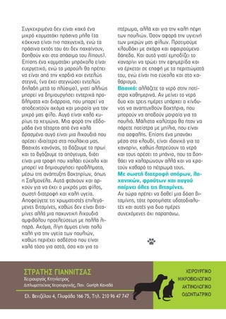 Συγκεκριµένα δεν είναι κακό ένα
µικρό κοµµατάκι πράσινο µήλο (τα
κόκκινα είναι πιο παχυντικά, ενώ τα
πράσινα εκτός του ότι δεν παχαίνουν,
βοηθούν και στο σπάσιµο του λίπους).
Επίσης ένα κοµµατάκι µπρόκολο είναι
ευεργετικό, ενώ το µαρούλι θα πρέπει
να είναι από την καρδιά και εντελώς
στεγνό, (να έχει στεγνώσει εντελώς
δηλαδή µετά το πλύσιµο), γιατί αλλιώς
µπορεί να δηµιουργήσει εντερικά προ-
βλήµατα και διάρροια, που µπορεί να
αποδειχτούν ακόµα και µοιραία για τον
µικρό µας φίλο. Αυγό είναι καλό κυ-
ρίως το χειµώνα. Μια φορά την εβδο-
µάδα ένα τέταρτο από ένα καλά
βρασµένο αυγό είναι µια λιχουδιά που
αρέσει ιδιαίτερα στα πουλάκια µας.
Βασικός κανόνας, το βάζουµε το πρωί
και το βγάζουµε το απόγευµα, διότι
είναι µια τροφή που χαλάει εύκολα και
µπορεί να δηµιουργήσει προβλήµατα,
µέσω της ανάπτυξης βακτηρίων, όπως
η Σαλµονέλα. Αυτά φτάνουν και αρ-
κούν για να έχει ο µικρός µας φίλος,
σωστή διατροφή και καλή υγεία.
Αποφεύγετε τις χρωµατιστές επιλεγό-
µενες βιταµίνες, καθώς δεν είναι βιτα-
µίνες αλλά µια παχυντική λιχουδιά
αµφιβόλου προελεύσεως µε πολλά λι-
παρά. Ακόµα, λίγη άµµος είναι πολύ
καλή για την υγεία των πουλιών,
καθώς περιέχει ασβέστιο που είναι
καλό τόσο για οστά, όσο και για το
πτέρωµα, αλλά και για την καλή πέψη
των πουλιών. Όσον αφορά την υγιεινή
των µικρών µας φίλων. Προτιµούµε
κλουβάκι µε σχάρα και αφαιρούµενο
δάπεδο. Και αυτό γιατί εµποδίζει το
καναρίνι να τρώει την εφηµερίδα και
να έρχεται σε επαφή µε τα περιττώµατά
του, ενώ είναι πιο εύκολο και στο κα-
θάρισµα.
Βασικό: αλλάζετε το νερό στην ποτί-
στρα καθηµερινά. Αν µείνει το νερό
δυο και τρεις ηµέρες υπάρχει ο κίνδυ-
νος να αναπτυχθούν βακτήρια, που
µπορούν να αποβούν µοιραία για τα
πουλιά. Μάλιστα καλύτερο θα ήταν να
πάρετε ποτίστρα µε µπίλια, που είναι
πιο ασφαλής. Επίσης ένα µπανάκι
µέσα στο κλουβί, είναι ιδανικό για το
καναρίνι, καθώς λατρεύουν το νερό
και τους αρέσει το µπάνιο, που τα βοη-
θάει να χαλαρώνουν αλλά και να κρα-
τούν καθαρό το πέτρωµά τους.
Με σωστή διατροφή σπόρων, λα-
χανικών, φρούτων και αυγού
παίρνει όλες τις βιταµίνες.
Αν τώρα πρέπει να δοθεί µια δόση βι-
ταµίνης, τότε προτιµήστε υδατοδιαλυ-
τές και αυτές για δυο ηµέρες
συνεχόµενες όχι παραπάνω.
 