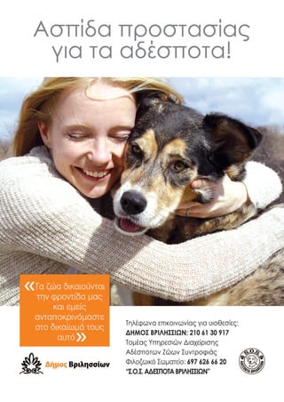 Go pet  teyxos 1 issue