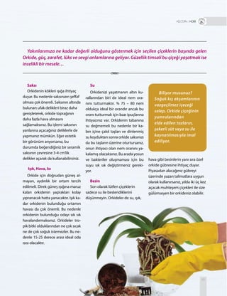 45
Saksı
Orkidenin kökleri ışığa ihtiyaç
duyar. Bu nedenle saksınızın şeffaf
olması çok önemli. Saksının altında
bulunan ufak delikleri biraz daha
genişleterek, orkide toprağının
daha fazla hava almasını
sağlamalısınız. Bu işlemi saksının
yanlarına açacağınız deliklerle de
yapmanız mümkün. Eğer estetik
bir görünüm arıyorsanız, bu
durumda beğendiğiniz bir seramik
saksının çevresine 3-4 cm’lik
delikler açarak da kullanabilirsiniz.
Işık, Hava, Isı
Orkide için doğrudan güneş al-
mayan, aydınlık bir ortam tercih
edilmeli. Direk güneş ışığına maruz
kalan orkidenin yaprakları kolay
yıpranacak hatta yanacaktır. Işık ka-
dar orkidenin bulunduğu ortamın
havası da çok önemli. Bu nedenle
orkidenin bulunduğu odayı sık sık
havalandırmalısınız. Orkideler tro-
pik bitki olduklarından ne çok sıcak
ne de çok soğuk istemezler. Bu ne-
denle 15-25 derece arası ideal oda
ısısı olacaktır.
Su
Orkidenizi yaşatmanın altın ku-
rallarından biri de ideal nem ora-
nını tutturmaktır. % 75 – 80 nem
oldukça ideal bir orandır ancak bu
oranı tutturmak için bazı ipuçlarına
ihtiyacınız var. Orkidenin tabanına
su değmemeli bu nedenle bir ka-
bın içine çakıl taşları ve dinlenmiş
su koyduktan sonra orkide saksınızı
da bu taşların üzerine oturtursanız,
onun ihtiyacı olan nem oranını ya-
kalamış olacaksınız. Bu arada yosun
ve bakteriler oluşmaması için bu
suyu sık sık değiştirmeniz gereki-
yor.
Besin
Son olarak lütfen çiçeklerin
sadece su ile beslendiklerini
düşünmeyin. Orkideler de su, ışık,
Biliyor musunuz?
Soğuk kış akşamlarının
vazgeçilmez içeceği
salep, Orkide çiçeğinin
yumrularından
elde edilen tozların,
şekerli süt veya su ile
kaynatılmasıyla imal
ediliyor.
Yakınlarımıza ne kadar değerli olduğunu göstermek için seçilen çiçeklerin başında gelen
Orkide, güç, zarafet, lüks ve sevgi anlamlarına geliyor. Güzellik timsali bu çiçeği yaşatmak ise
incelikli bir mesele…
T R+ HOBİ
hava gibi besinlerin yanı sıra özel
orkide gübresine ihtiyaç duyar.
Piyasadan alacağınız gübreyi
üzerinde yazan talimatlara uygun
olarak kullanırsanız, yılda iki üç kez
açacak muhteşem çiçekleri ile size
gülümseyen bir orkideniz olabilir.
 