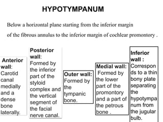 Anatomy of middle ear .................. | PPTX