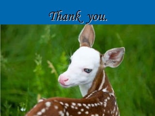 Thank you.Thank you.
 