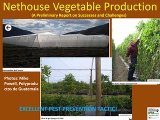 Nethouse Vegetable Production
             (A Preliminary Report on Successes and Challenges)




Photos: Mike
Powell, Polyprodu
ctos de Guatemala



       EXCELLENT PEST PREVENTION TACTIC!
 